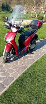 HONDA SH 125 - 2