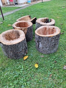 Dutý kmeň na búdky pre vtakov - 2