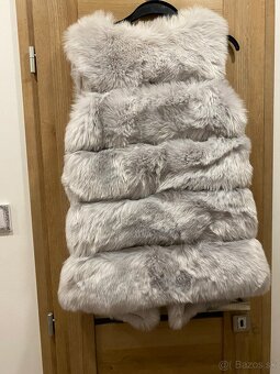 Kozusinova vesta - 2