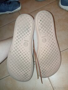 Shapen Berry v.42 - 2