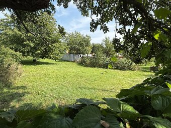 Na predaj stavebný pozemok v obci Trnávka, okres Trebišov - 2