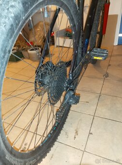 petersancez119@gmail.com - 2