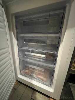 Suflikova mraznička goddeass - 2