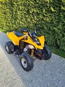 can am ds 250 2015 - 2