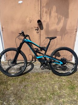 Yt capra - 2