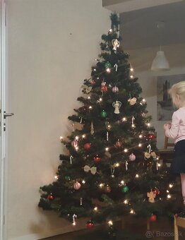 Vianočný stromček na predaj - 2