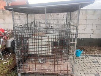 Voliera pre psa - 2