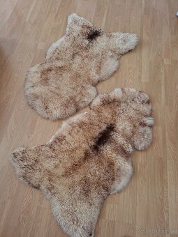 Ovčia kožušina - 2
