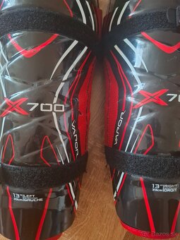 Hokejove holene Bauer - 2