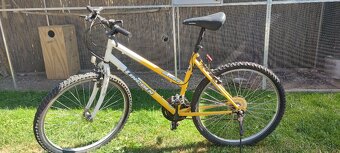Dámsky bicykel - 2