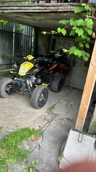 Bashan 250 s TP - 2