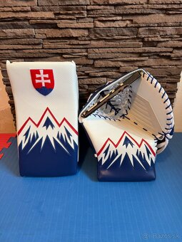 Brankárska vyrážačka a lapačka BRINS - 2