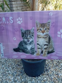 Podložka na stôl pre deti - 2