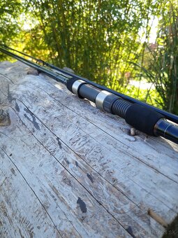Kaprové prúty Daiwa Carp Regal 3,60m, 3lbs - 2