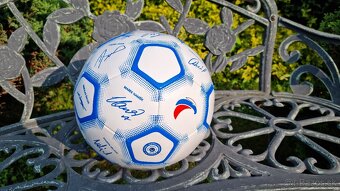 Futbalova lopta - 2