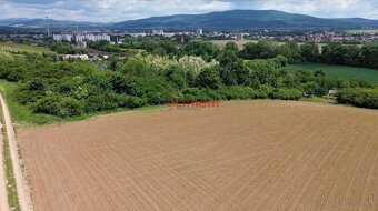 Predaj vinice a pozemku pri Zlatých Moravciach – Dolné Vinic - 2