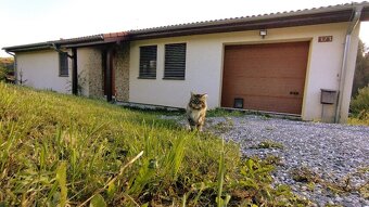 4i bungalov s garážou v Snežnici - 2