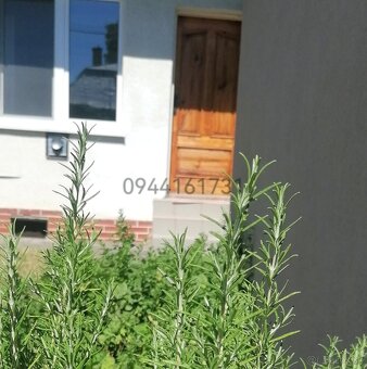 1-izbový zariadený apartmán pod Hrádkom - 2