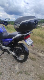Honda Transalp 650 XL aj výmena v texte - 2