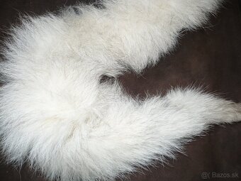 Límec z líšky - 2