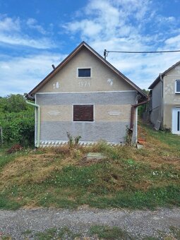 Na predaj dva viničné domčeky s vinicou, Strekov - 2