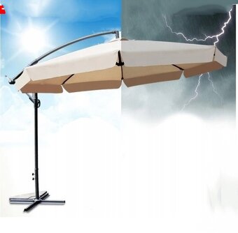 Slnečník záhradný - 2