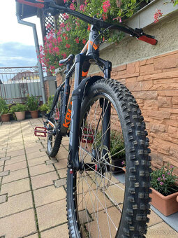 Kellys Spider 50 - 2