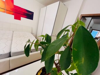 2-izb.byt, 2 parkovacie miesta, internet, energie v cene - 2