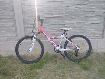 CTM willy - 2