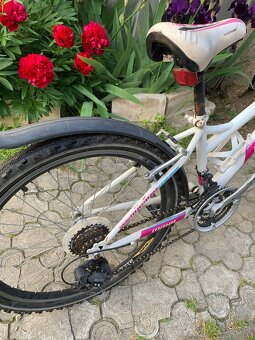 Bielo ružový bicykel - 2