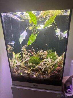 Predám 100L akvárium - 2