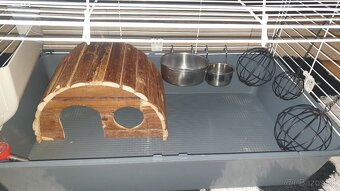 Predam klietka pre morca - 2