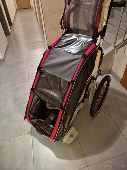 Thule Chariot - 2