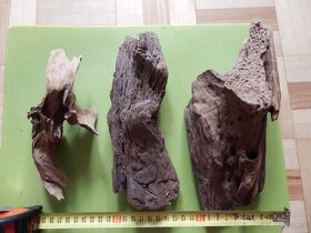 Korene do akvária - 2