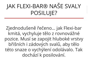 FLEXI BAR - rehabilitacna a fitness pomôcka - 2