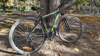 Horský bicykel CTM Rein 1.0 29'' - 2