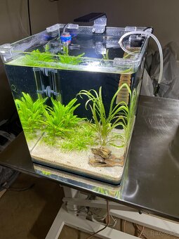 Zabehnuté Dennerle Nano Cube 30 L - 2