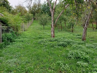 Rodinný dom, Hrušov - 2