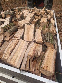 Palivove drevo buk dub - 2