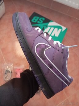 Nike Sb - 2