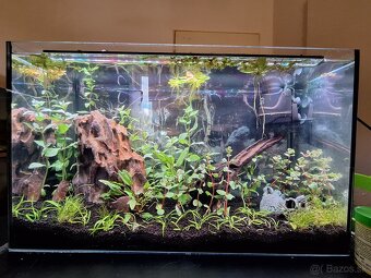 Predám 100l a 30l akvarium s prislusenstvom - 2