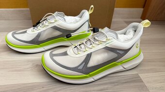 ECCO biom - 2