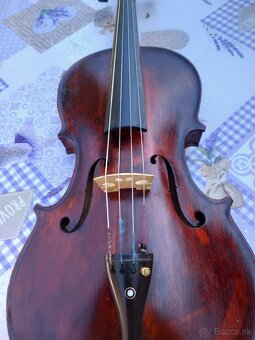 Peqru violu,kompletný set,40,4 cm - 2