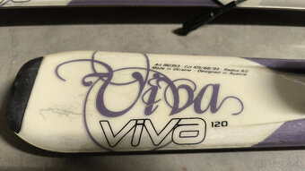 PREDAM LYZE BLIZZARD, LYZIARKY SALOMON - 2