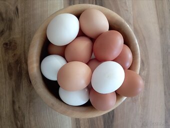 Domáce vajíčka - 2