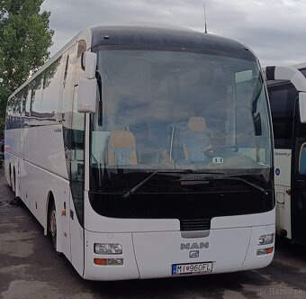 Man lion coach L - 2