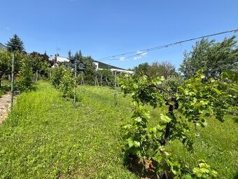 Krásny 6-izb.RD Zobor, 980 m2 pozemok, 240 m2 dom - 2