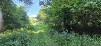 Predaj pozemku 5157 m² – Komárov, okres Bardejov - 2