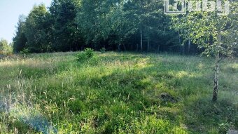 PREDAJ - POZEMOK NA SAMOTE DOLNÝ MILOCHOV OKRES POVAŽSKÁ BYS - 2