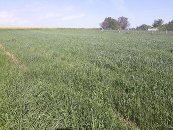 predaj pozemok Zbehy Andač - 2